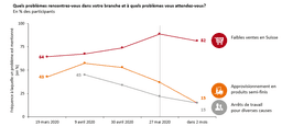 Grafik Befragung zu Problemen